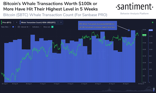 Market Research Report: BTC Smashes $50,000 While ETH Tips $4,000 and, SOL Soars Another 50% - unnamed2