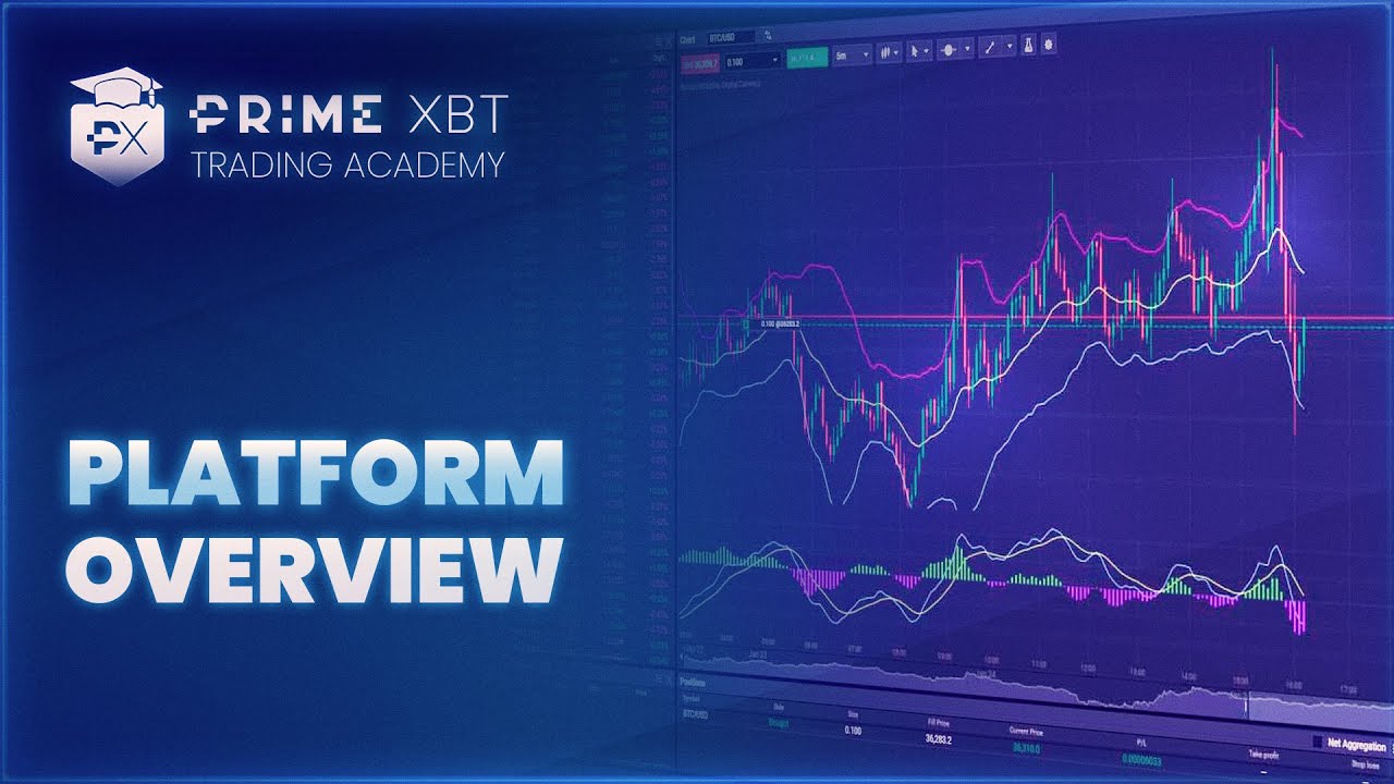 Kelly Annah Trade Tutorial 1: Platform Overview